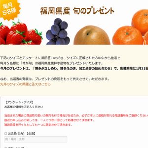 博多ぶなしめじ、博多えのき等の詰め合わせ