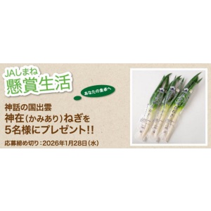 神話の国出雲「神在ねぎ約3kg」