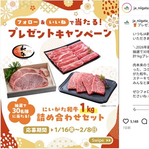 にいがた和牛3種セット（合計1kg）