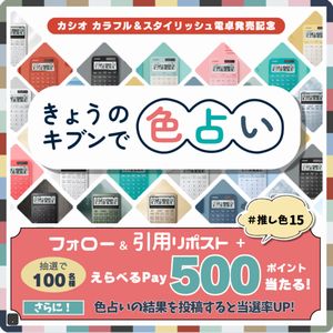 えらべるPay500ポイント