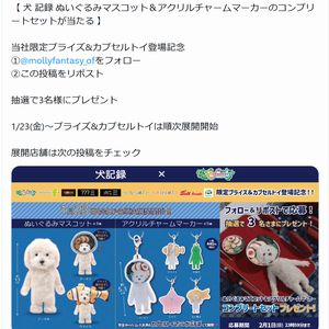 犬 記録 ぬいぐるみマスコット　他