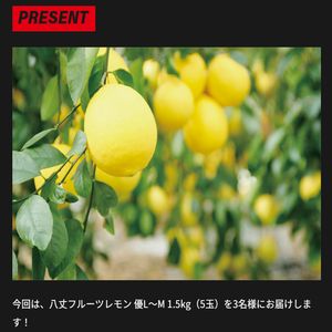 八丈フルーツレモン 優L～M 1.5kg