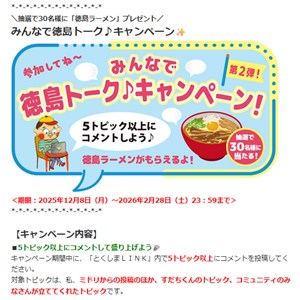 味付豚肉入り徳島ラーメン（1袋2食入）