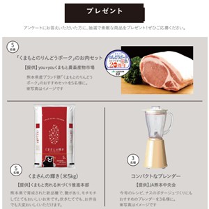 くまもとのりんどうポーク お肉セット 他