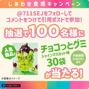 「チョコっとグミ」30袋