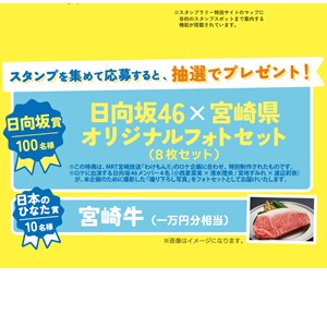 宮崎牛1万円分 他