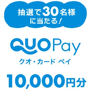 QUOカードPay 1万円分
