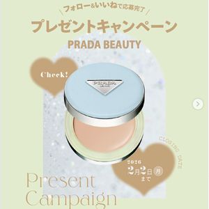 プラダ メッシュ クッション