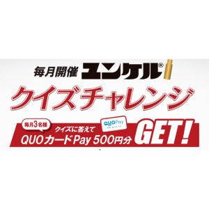 オリジナルデザインQUOカード500円分