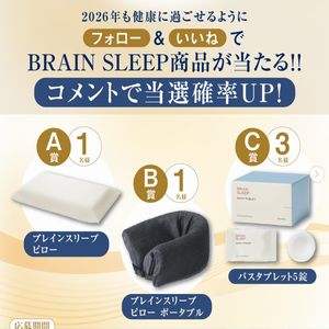 ブレインスリープ ピロー　他