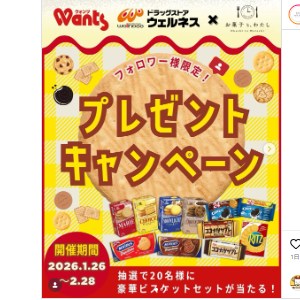 ビスケット20品詰合せ