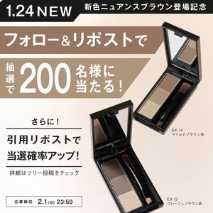 KATE デザイニングアイブロウ3D