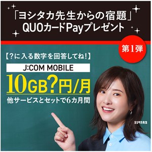 QUOカードPay500円分