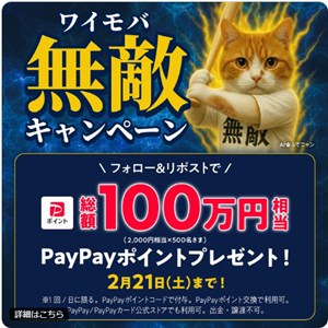 PayPayポイント2,000円分