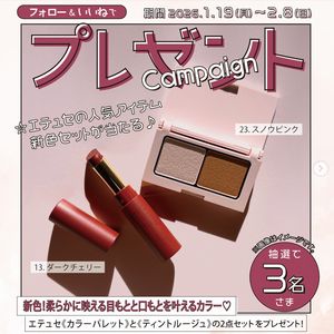 エテュセの人気アイテム 新色セット