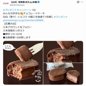 チョコレートケーキ ねね（寧々）ショコラ
