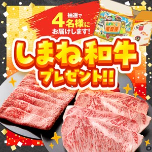 しまね和牛（サーロイン250g×4枚＆モモスライス500g）