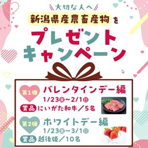 にいがた和牛肩ロース焼肉用500ｇ