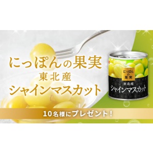 K&Kにっぽんの果実 東北産 シャインマスカット