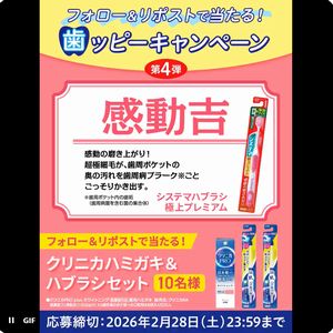 クリニカハミガキ・ハブラシセット