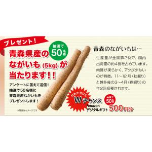 青森県産ながいも（5kg）