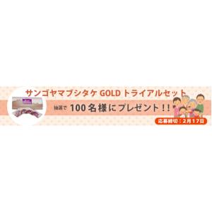 サンゴヤマブシタケ　トライアルセット