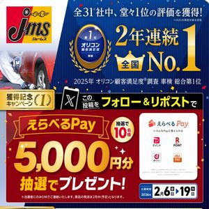 えらべるPay 5,000円分