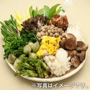 山菜・きのこセット