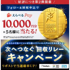 えらべるPay 10,000円分