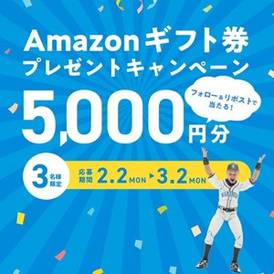 Amazonギフト券5,000円分