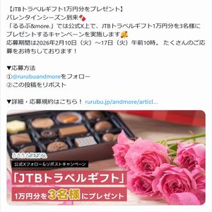 JTBトラベルギフト1万円分