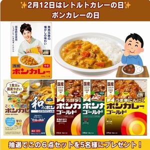 レトルトカレー詰め合わせ