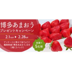 博多あまおうDX