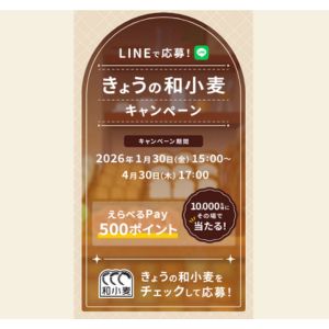 選べるPay500ポイント