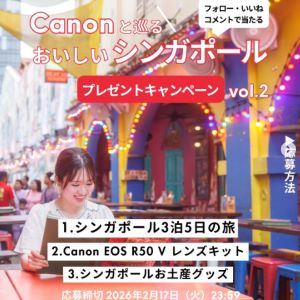 シンガポールまでの往復航空券＆3泊分ご宿泊 他