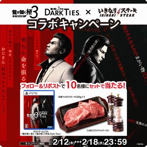 冷凍ワイルドステーキ　他