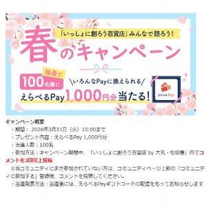 えらべるPay1,000円分