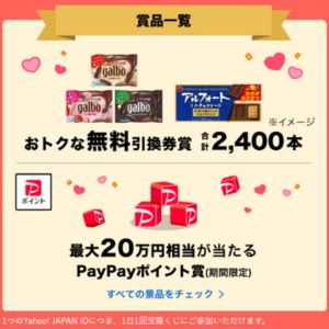 PayPayポイント20万円相当 他