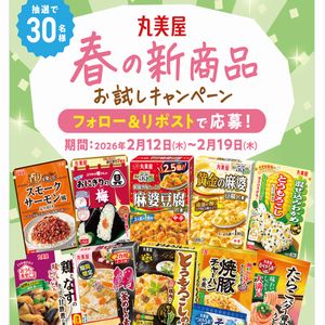 丸美屋 春の新商品6品詰め合わせ
