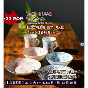 6,600円相当のサーカス猫の器