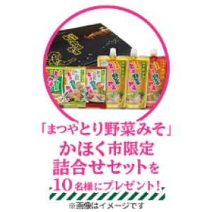 まつやとり野菜みそ かほく市限定詰合せセット