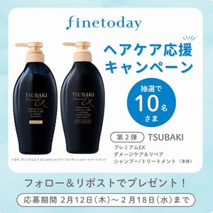 TSUBAKIダメージケア用シャンプー他