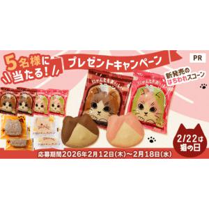 オールハーツ・カンパニーの菓子8個詰合せ