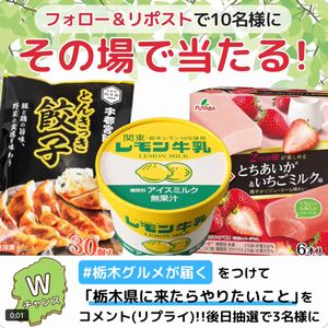 栃木グルメセット