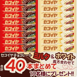 セコイヤチョコ 合計40本セット