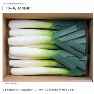 岡山県産「リーキ 1ケース」