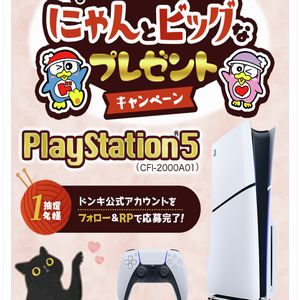 PlayStation®5
