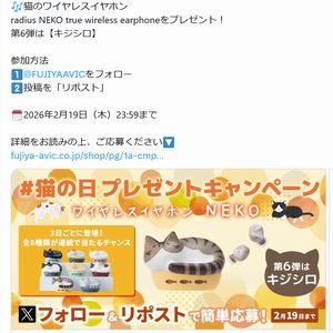 猫のワイヤレスイヤホン キジシロ