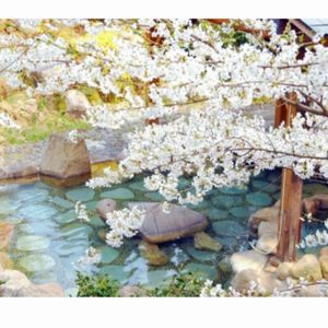 賞品画像：[新潟]風雅の宿 長生館 ペア宿泊券