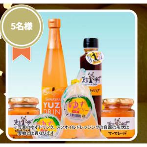 ゆずピクニックセット